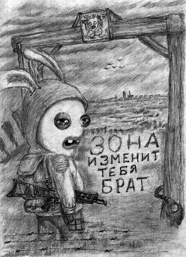 S.T.A.L.K.E.R. 2 - Дневники Зоны